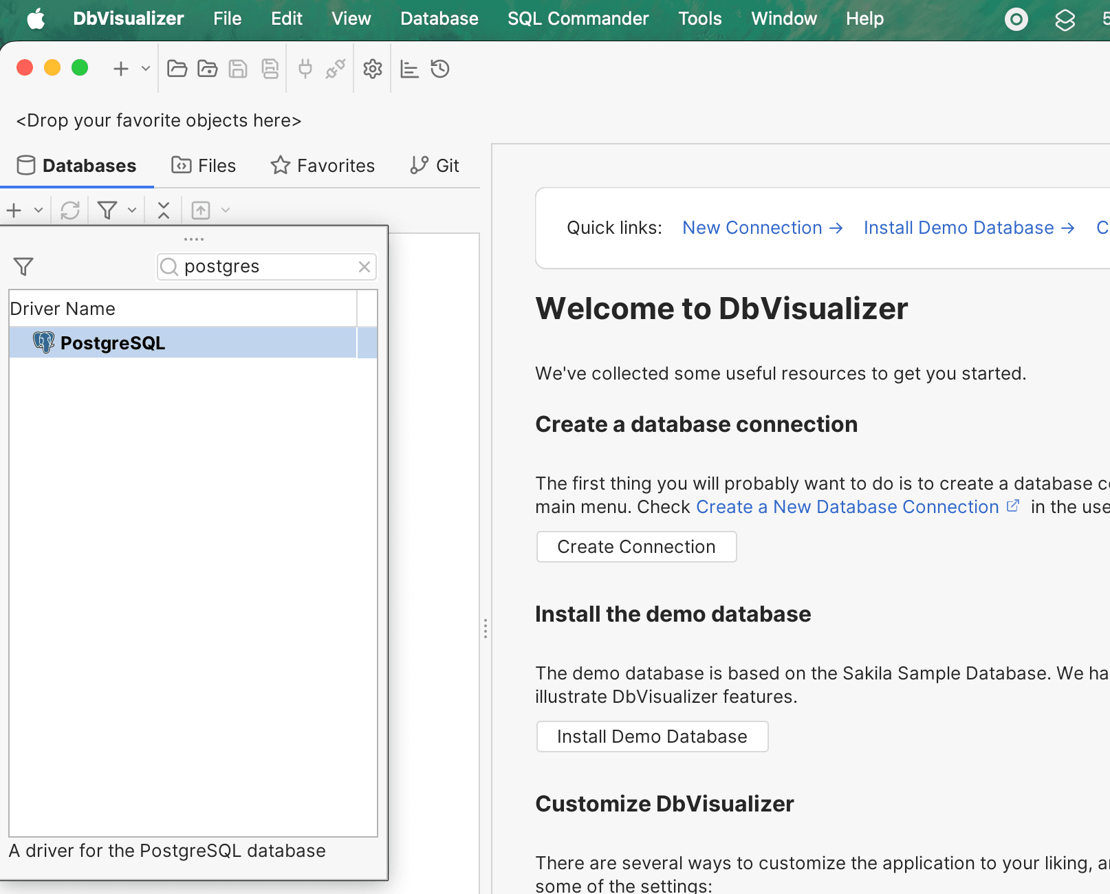 Select PostgreSQL in DbVisualizer
